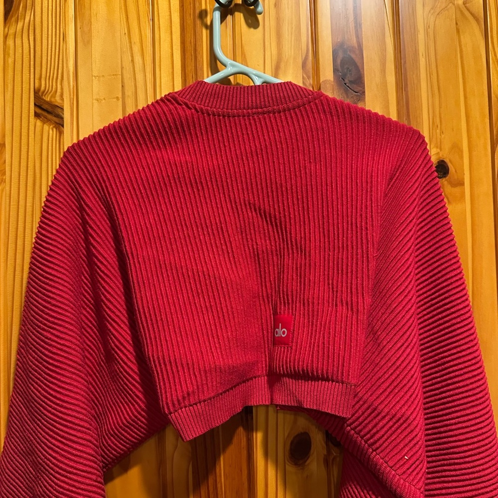 Elegant Red Ribbed Dress - Picture 5 of 5